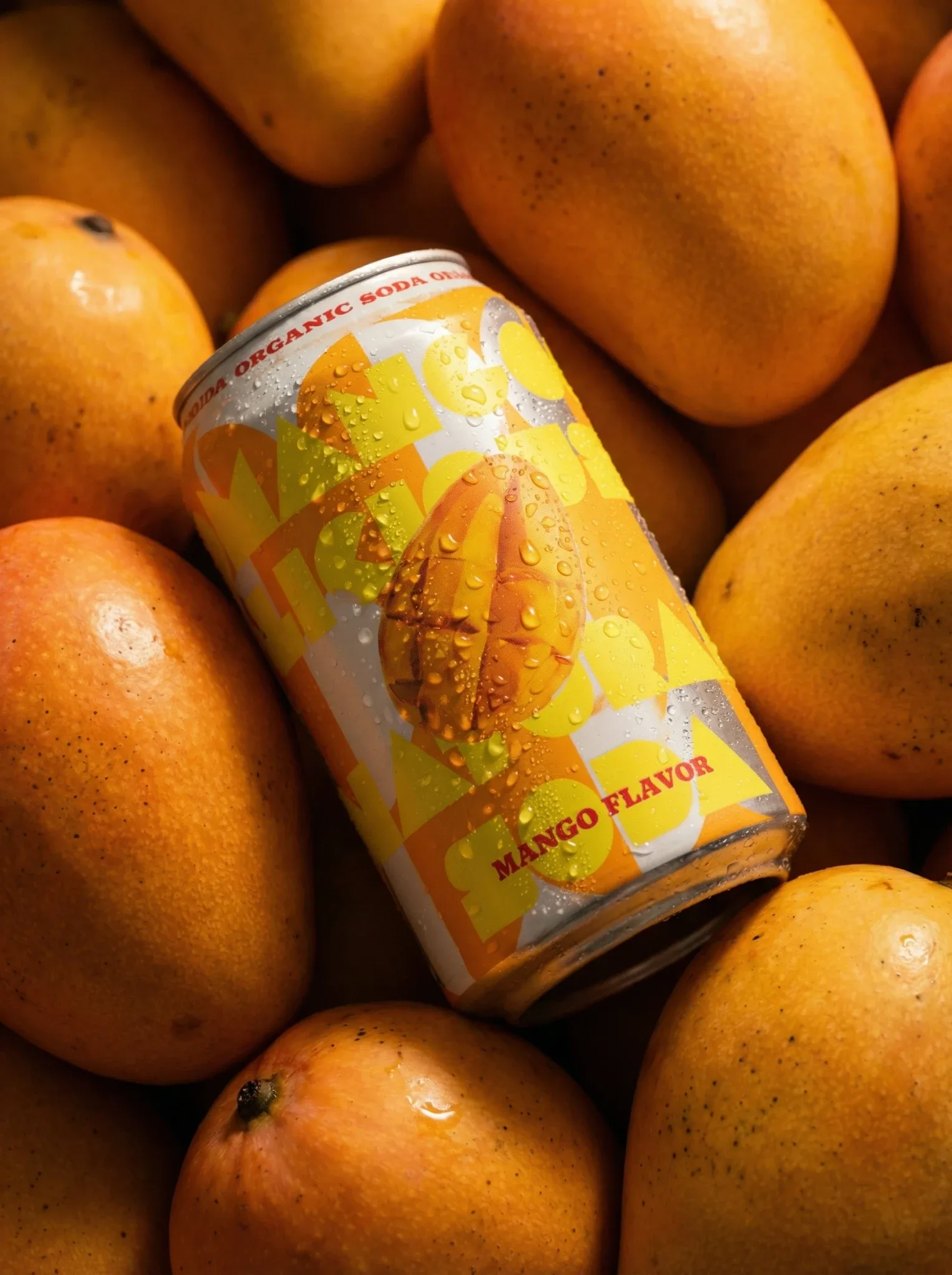 A canned drink arranged with oranges.