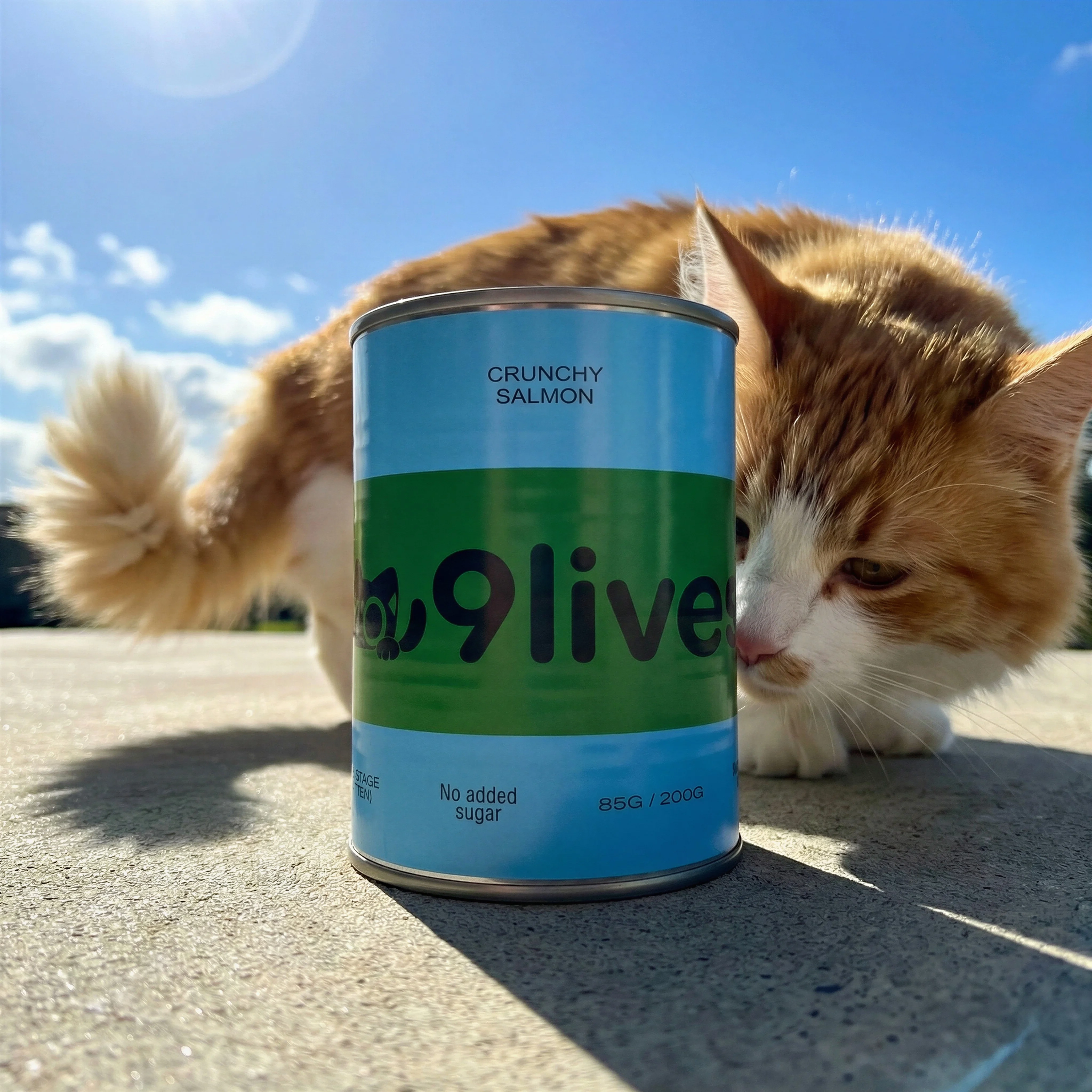 Cat Food Outdoors scene example for How to Turn Product Photos into Lifestyle Images