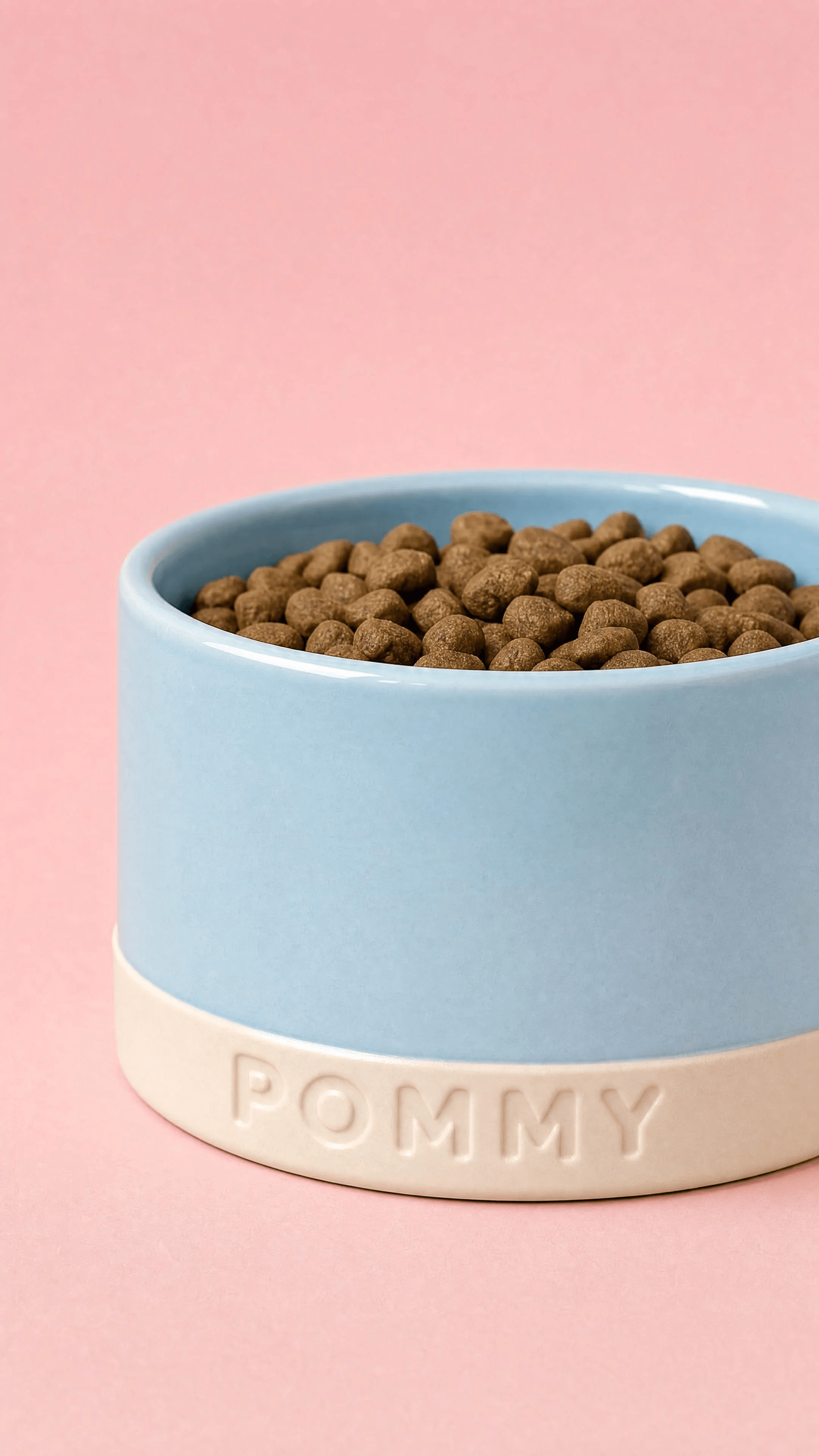 Close-up of a sky-blue POMMY ceramic dog bowl filled with kibble