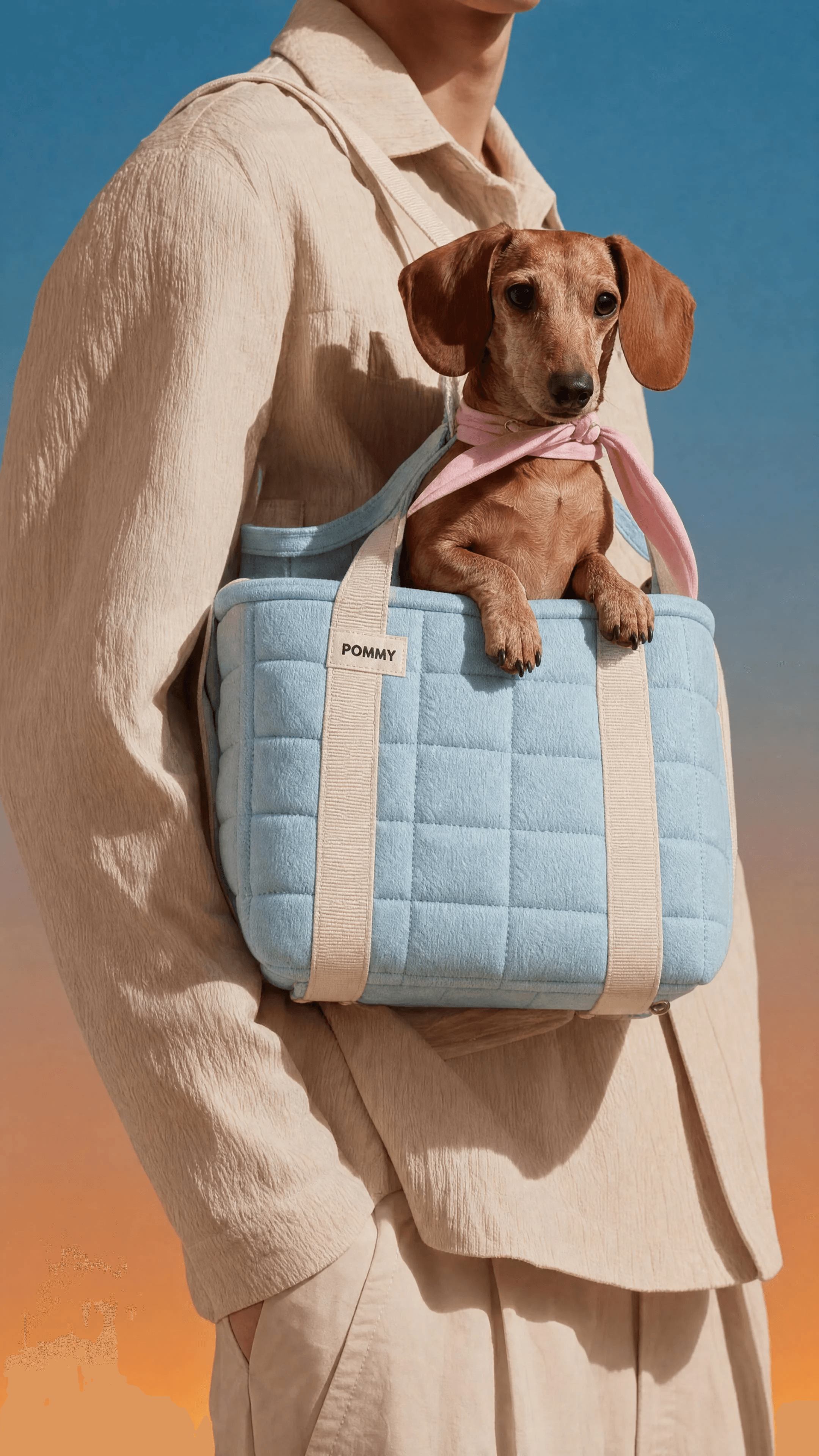 Dachshund peeking from a sky-blue quilted POMMY carrier tote at sunset