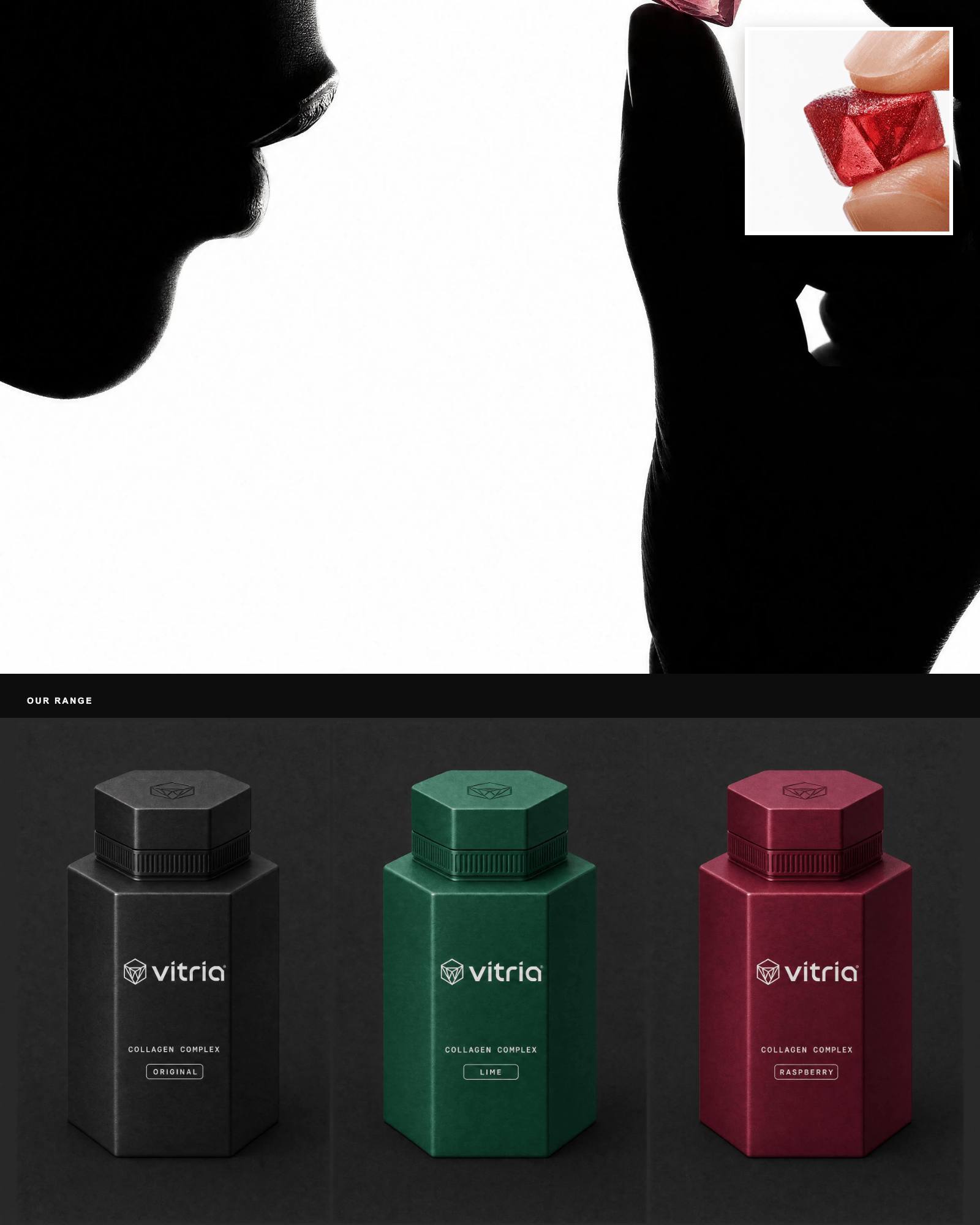 VITRIA Campaign layout 6